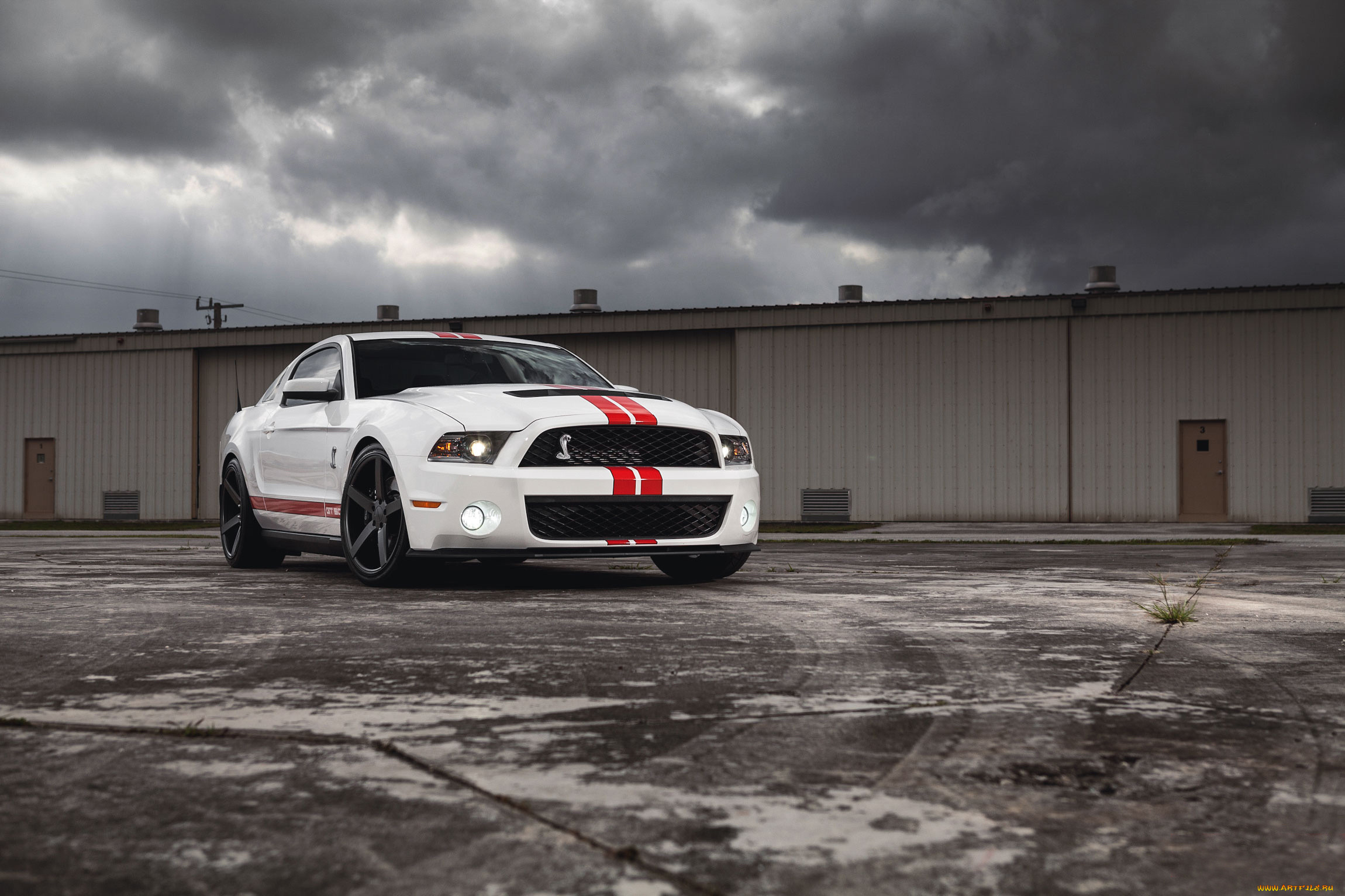 , mustang, shelby, ford, muscle, car, , , , , gt500, 